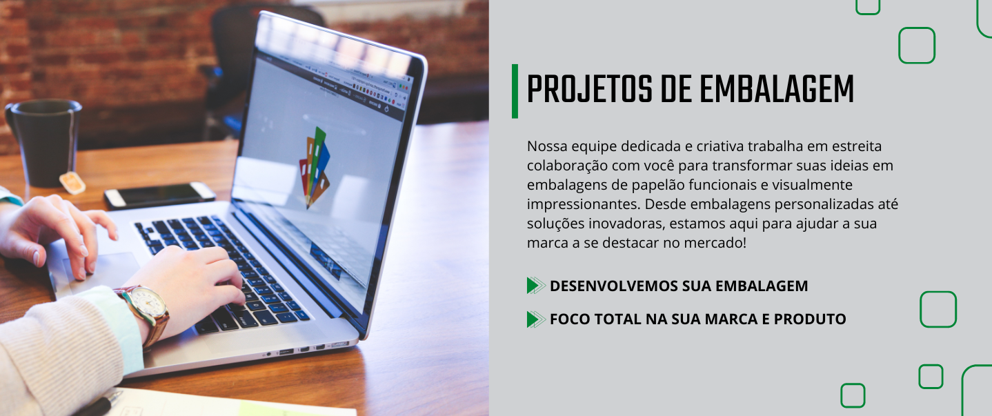 DESENVOLVIMENTO DE PROJETOS